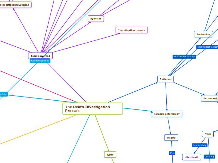 The Death Investigation Process