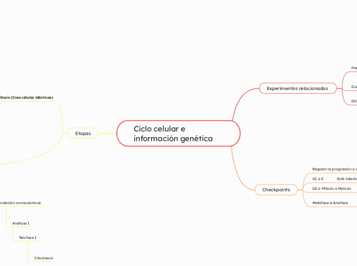 Ciclo celular e información genética