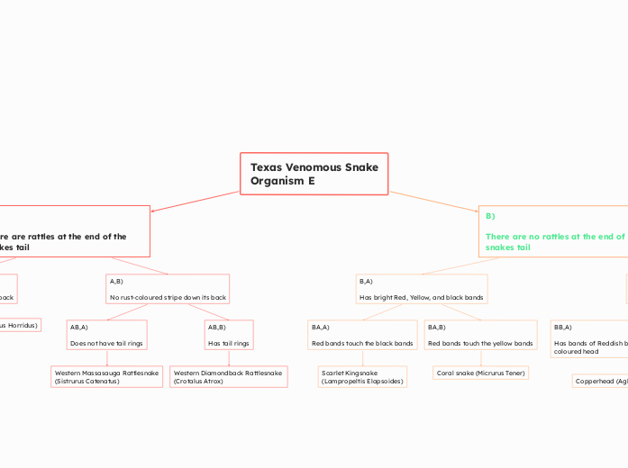 Texas Venomous Snake
Organism E