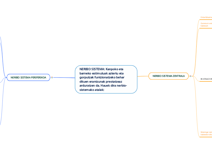 NERBIO SISTEMA: Kanpoko eta barneko estimuluak aztertu eta gorputzak funtzionatzeko behar dituen erantzunak prestatzeaz arduratzen da. Hauek dira nerbio-sistemako atalak: