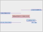 NEMATODOS  MOLUSCOS loraine