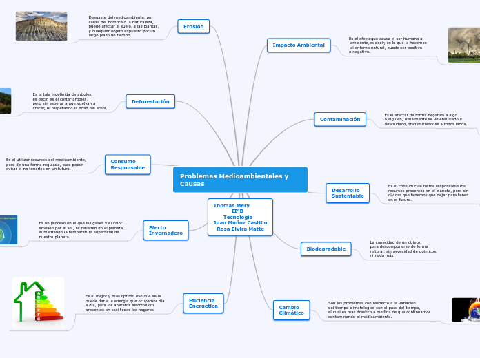 Problemas Medioambientales y Causas