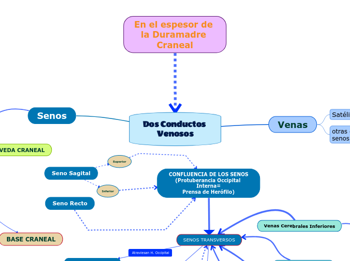 Dos Conductos Venosos