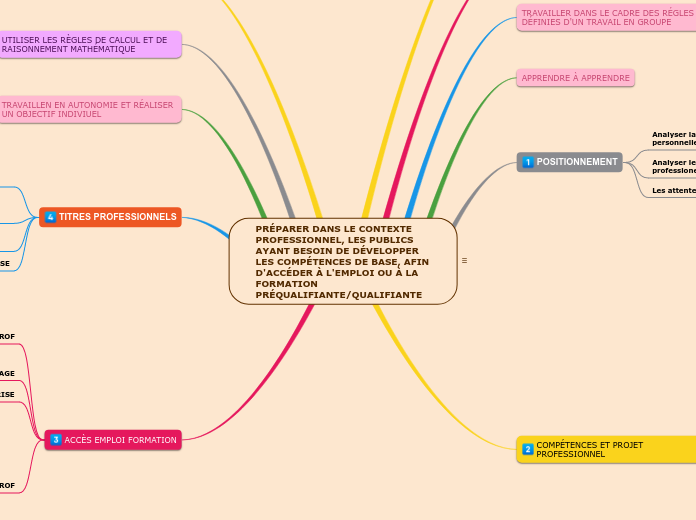 PRÉPARER DANS LE CONTEXTE PROFESSIONNEL, LES PUBLICS AYANT BESOIN DE DÉVELOPPER LES COMPÉTENCES DE BASE, AFIN D'ACCÉDER À L'EMPLOI OU À LA FORMATION PRÉQUALIFIANTE/QUALIFIANTE