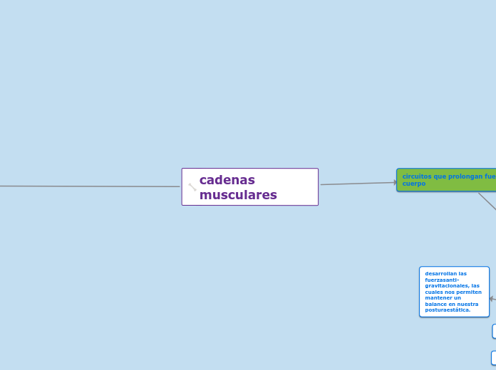 cadenas musculares