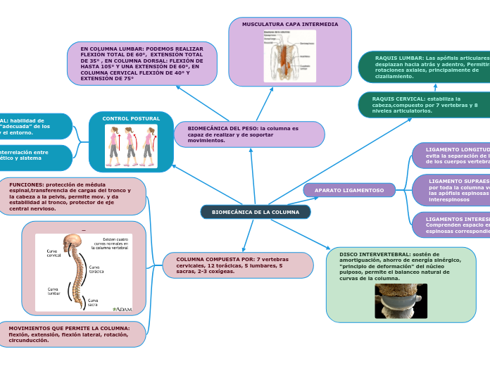 BIOMECÁNICA DE LA COLUMNA