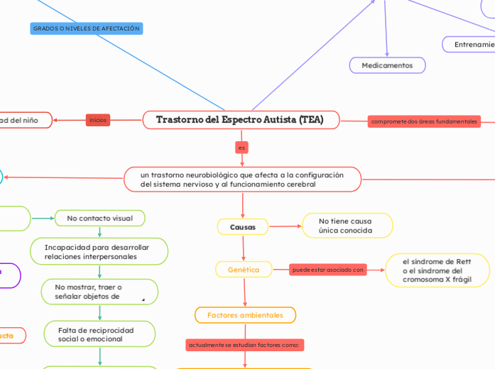 Trastorno del Espectro Autista (TEA)