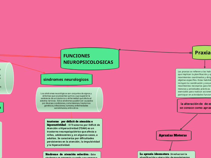 FUNCIONES NEUROPSICOLOGICAS 