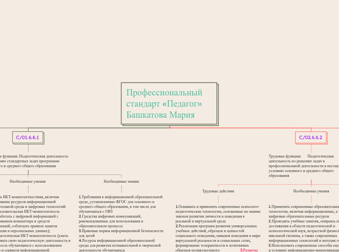 Профессиональный стандарт «Педагог» Башкатова Мария