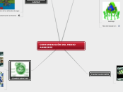 CONTAMINACIÓN DEL MEDIO AMBIENTE
