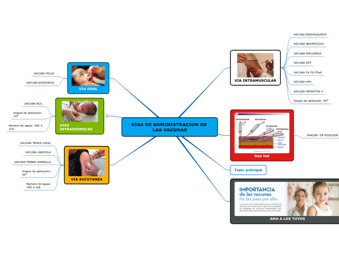 VIAS DE ADMINISTRACION DE LAS VACUNAS