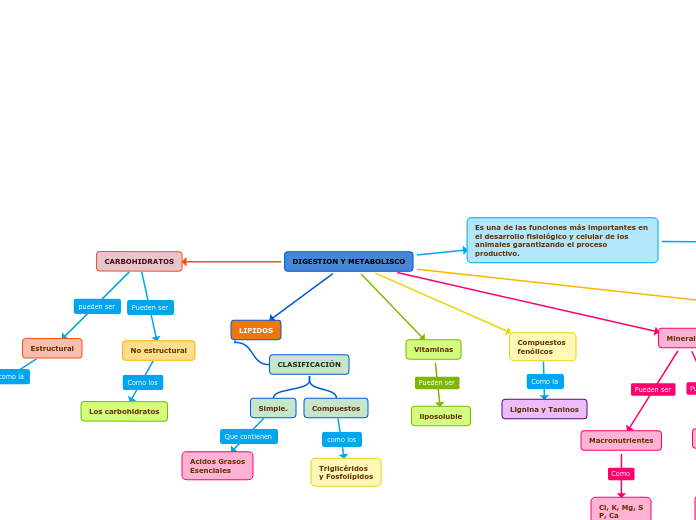 DIGESTION Y METABOLISCO