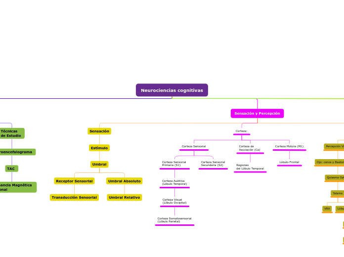 Neurociencias cognitivas