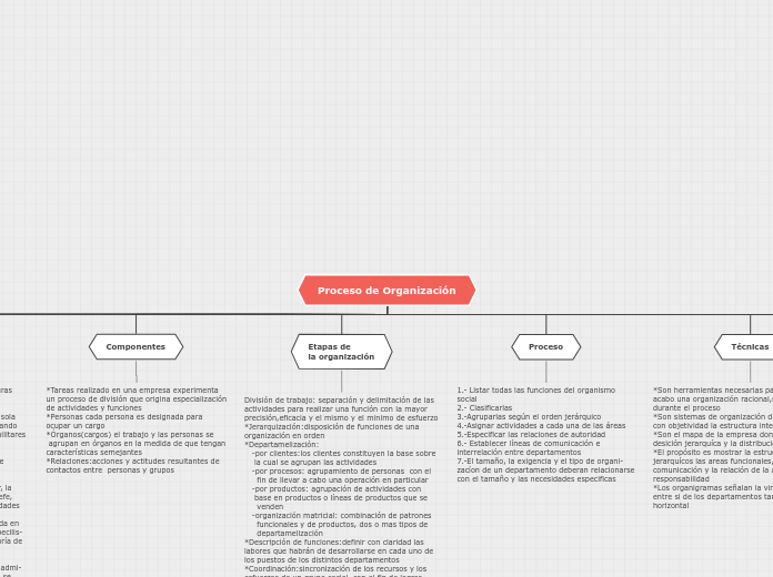 Proceso de Organización