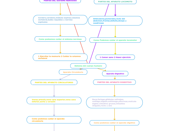 Sistema del cuerpo humano