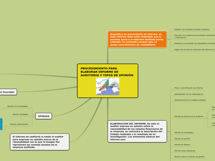 PROCEDIMIENTO PARA ELABORAR INFORME DE AUDITORIA Y TIPOS DE OPINION