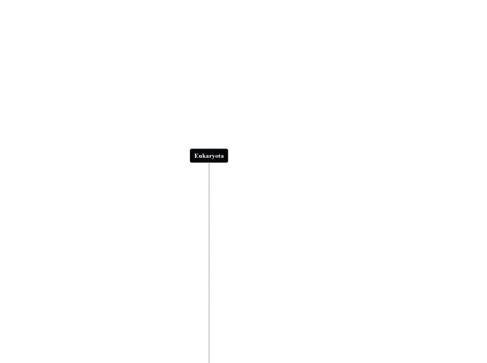 Overworld Phylogenetic Tree