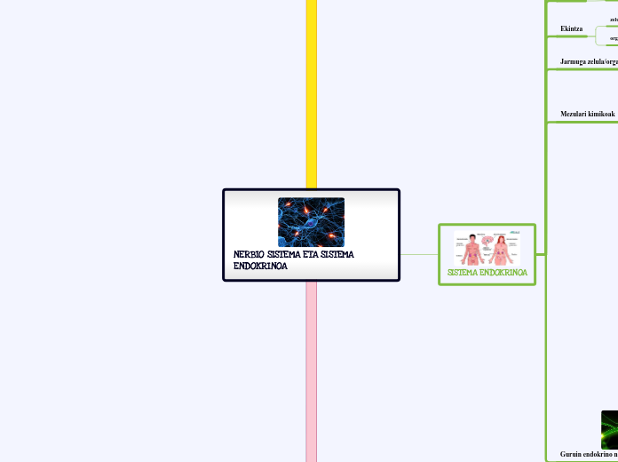 NERBIO SISTEMA ETA SISTEMA ENDOKRINOA