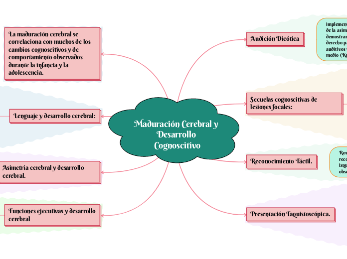 Maduración Cerebral y Desarrollo Cognoscitivo