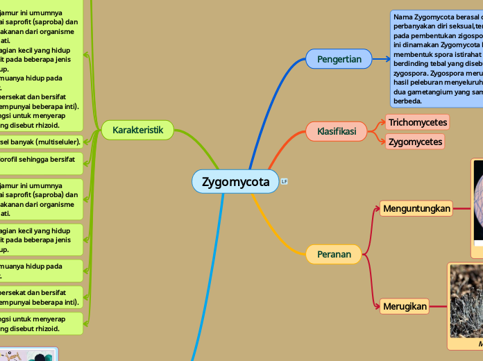 Zygomycota