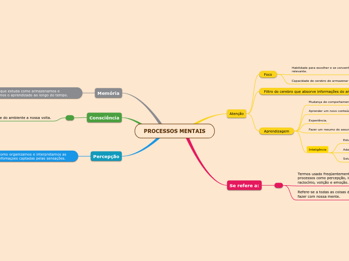 PROCESSOS MENTAIS
