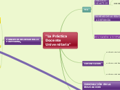 "La Pràctica Docente Universitaria"