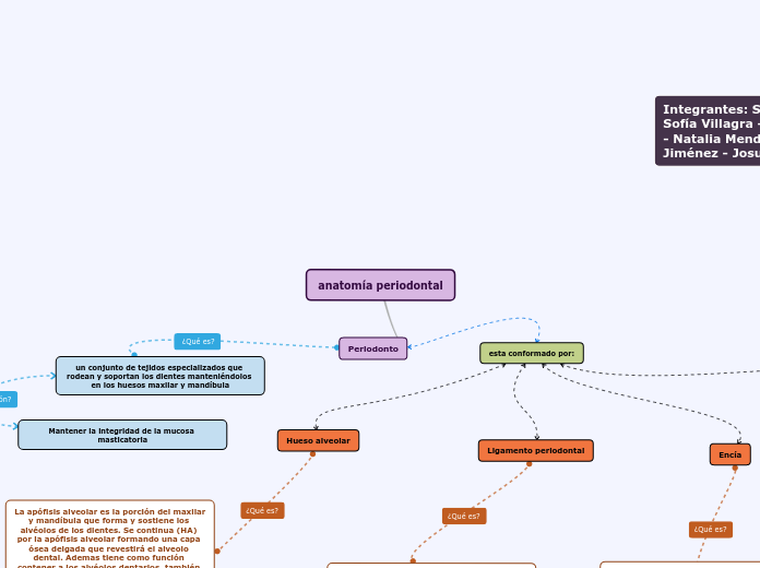 anatomía periodontal