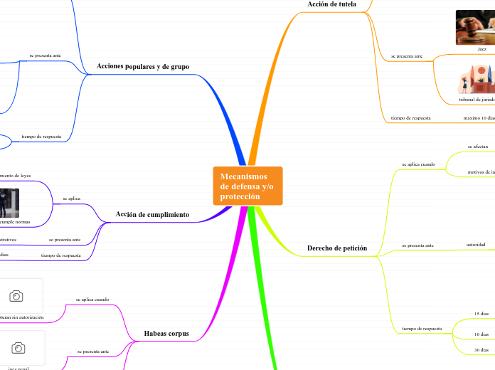 Mecanismos 
de defensa y/o 
protección