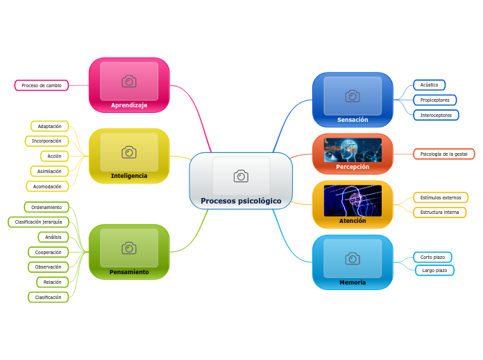 Procesos psicológico