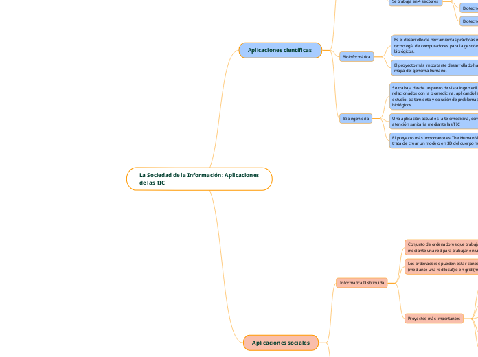 La Sociedad de la Información: Aplicaciones de las TIC