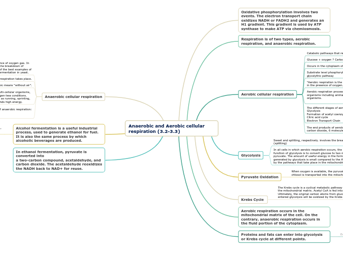 Anaerobic and Aerobic cellular respiration (3.2-3.3)