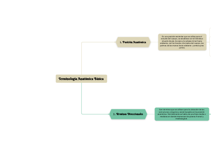 Terminología Anatómica Básica 