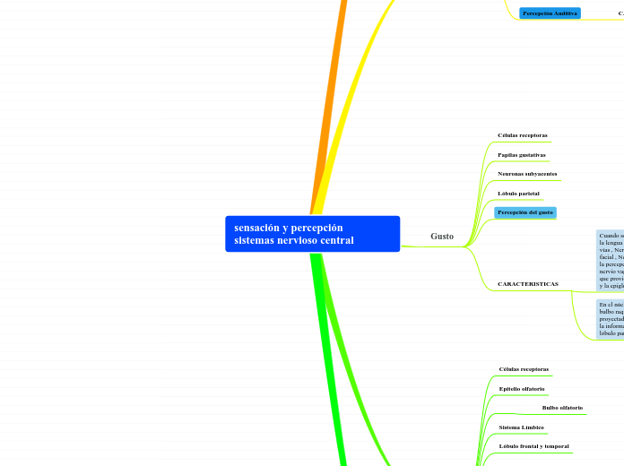 sensación y percepción   sistemas nervioso central