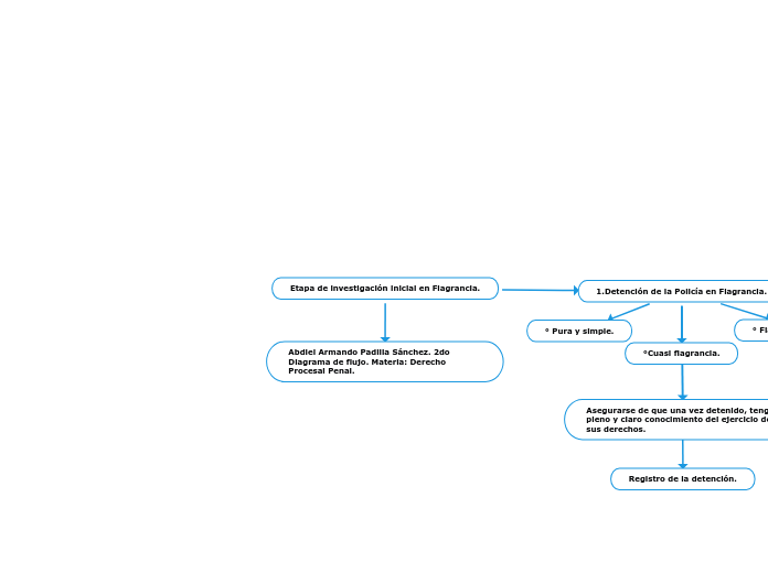 Etapa de investigación inicial en Flagrancia.