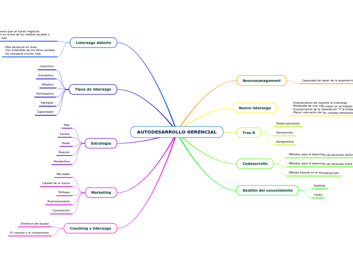 AUTODESARROLLO GERENCIAL