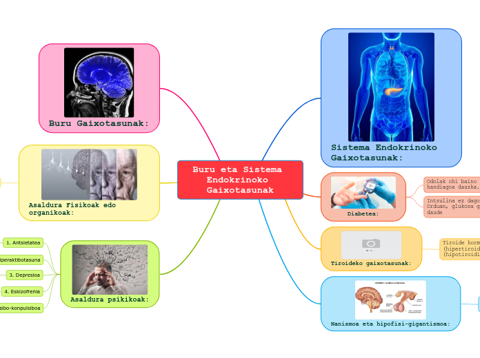 Buru eta Sistema Endokrinoko Gaixotasunak