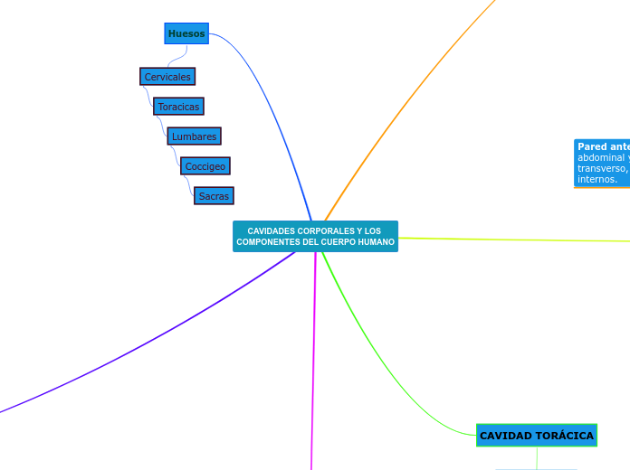 CAVIDADES CORPORALES Y LOS COMPONENTES DEL CUERPO HUMANO