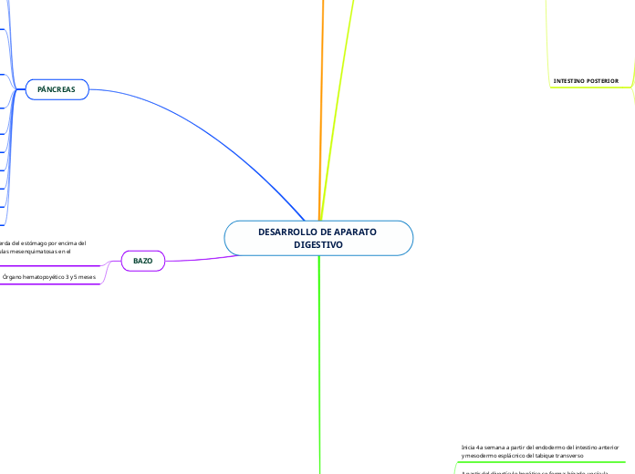 DESARROLLO DE APARATO DIGESTIVO