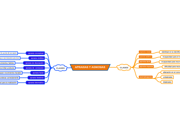 APRAXIAS Y AGNOSIAS