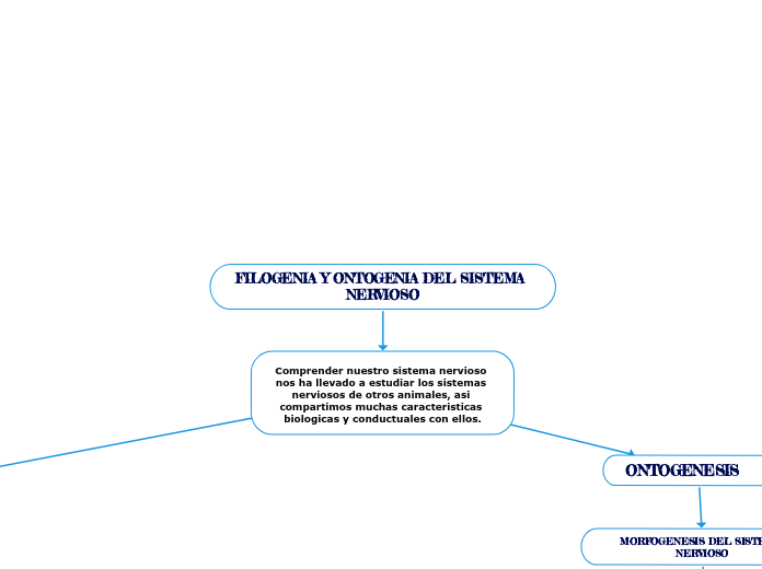 FILOGENIA Y ONTOGENIA DEL SISTEMA NERVIOSO