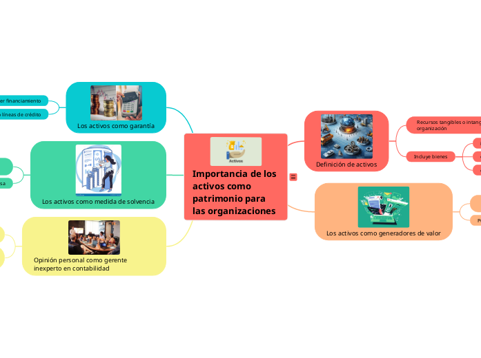 Importancia de los activos como patrimonio para las organizaciones