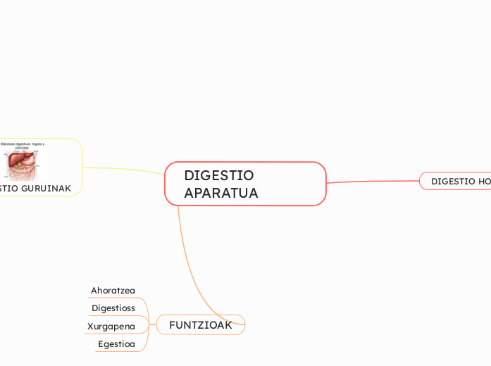 DIGESTIO APARATUA