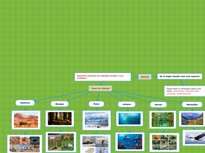 Especies animales de hábitats locales y sus cuidados