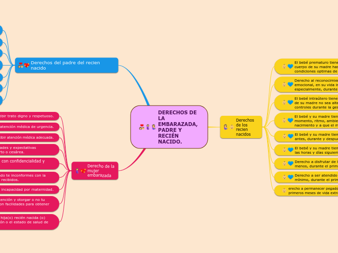 DERECHOS DE LA EMBARAZADA, PADRE Y RECIÉN NACIDO.
