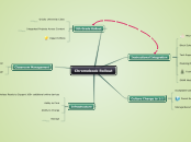 MCHS: Mapping OUt Implememtation