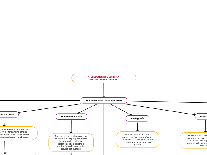 AFECCIONES DEL SISTEMA GENITOURINARIO-RENAL