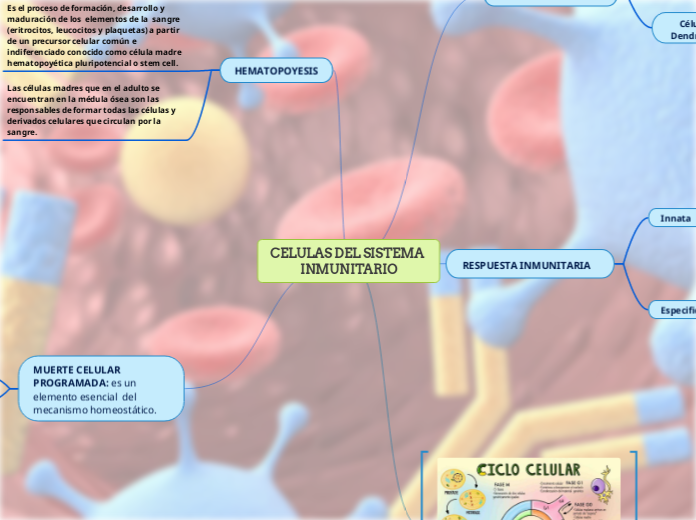 CELULAS DEL SISTEMA INMUNITARIO