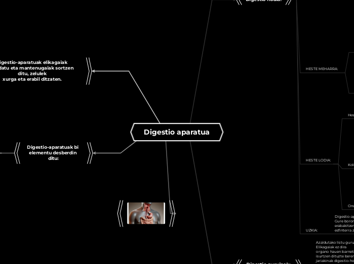 Digestio aparatua