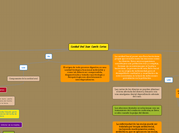 Cavidad Oral Juan Camilo Cortes