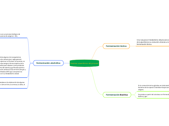 Destinos anaeróbicos del piruvato